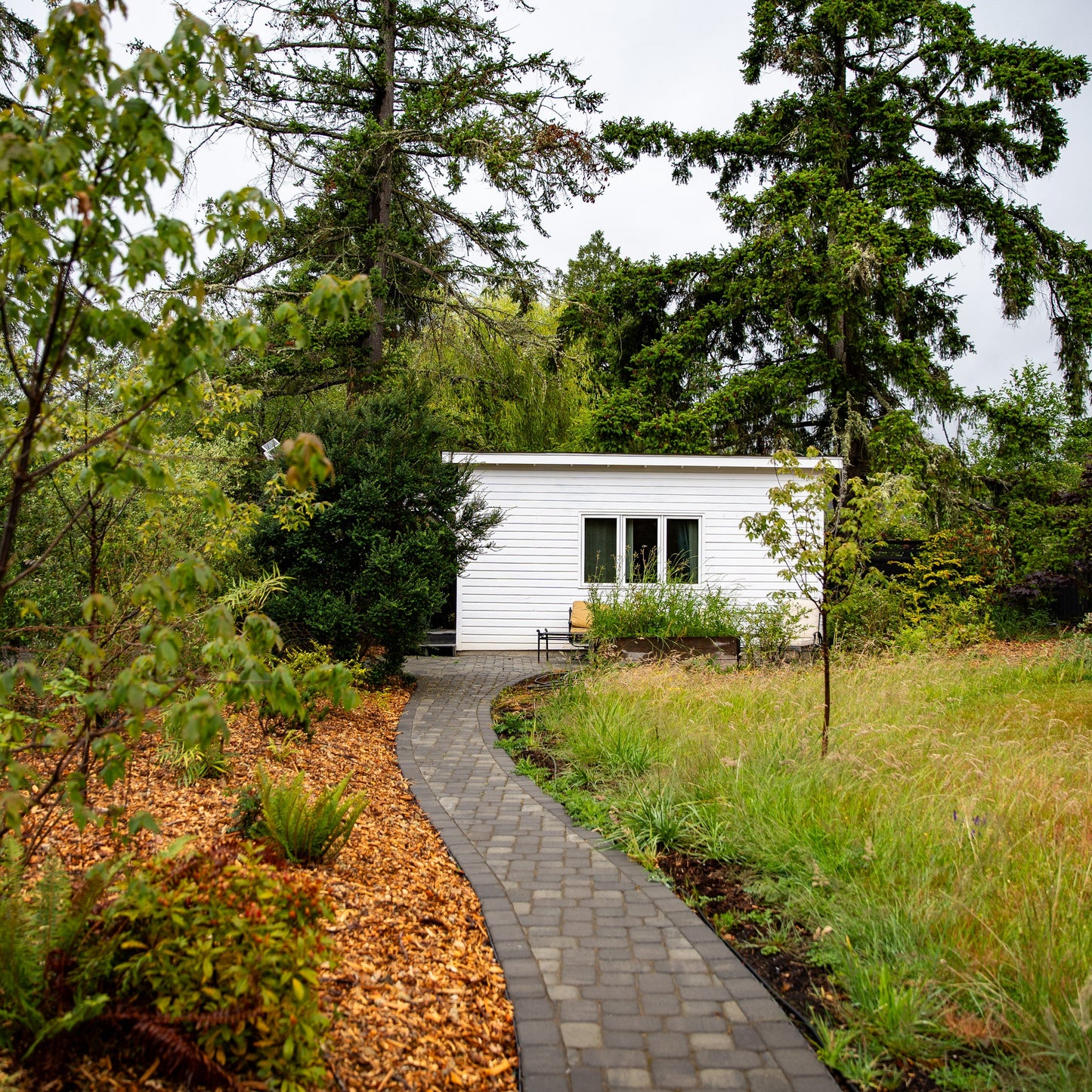 Small white house surrounded by trees and a winding path leading to it.