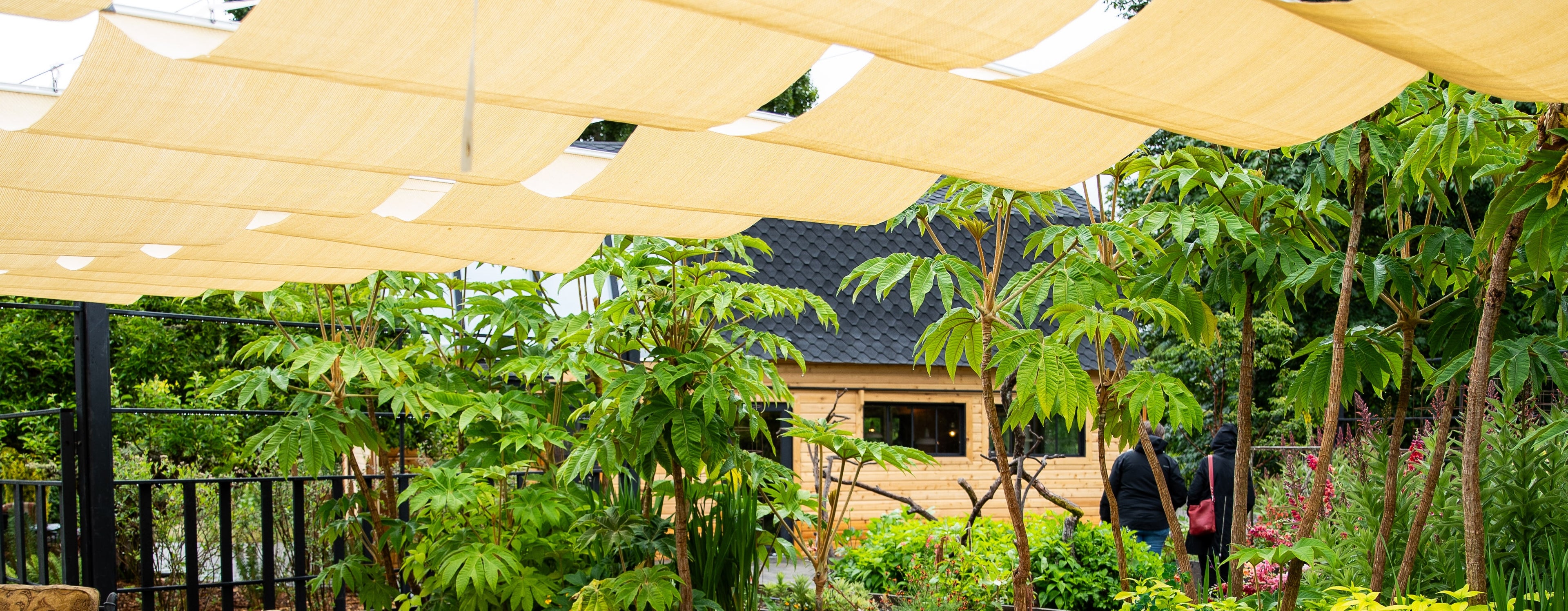 Outdoor setting with a canopy over a garden area