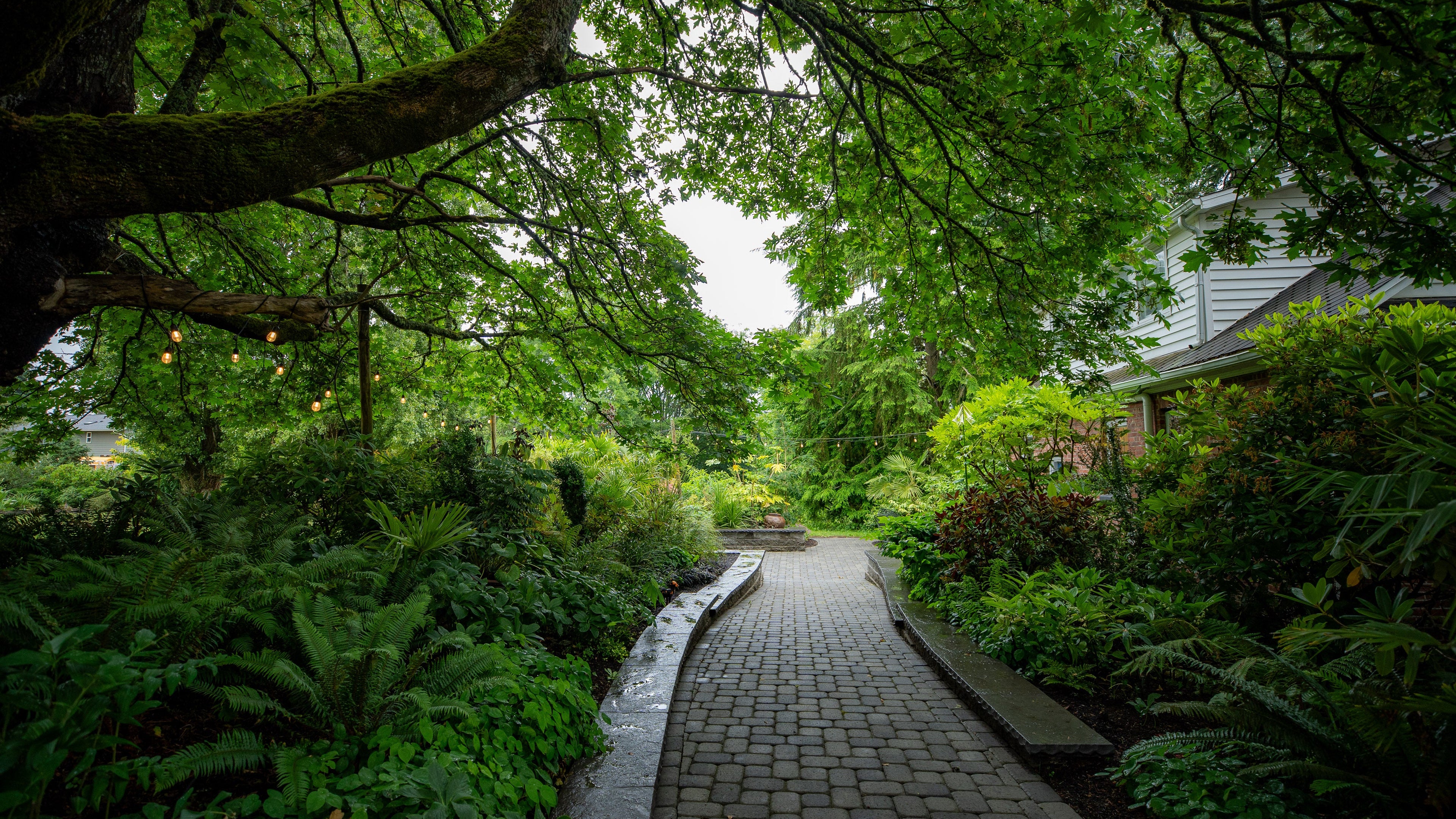 Paved pathway through a lush green garden with trees and plants